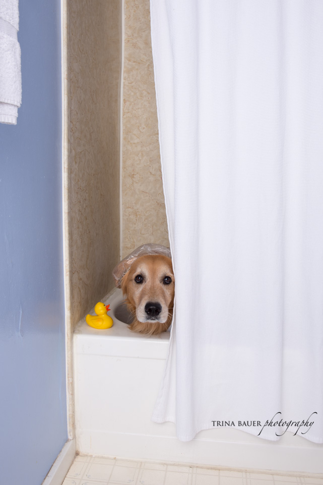 Project 52: Week 30 - Bath Time