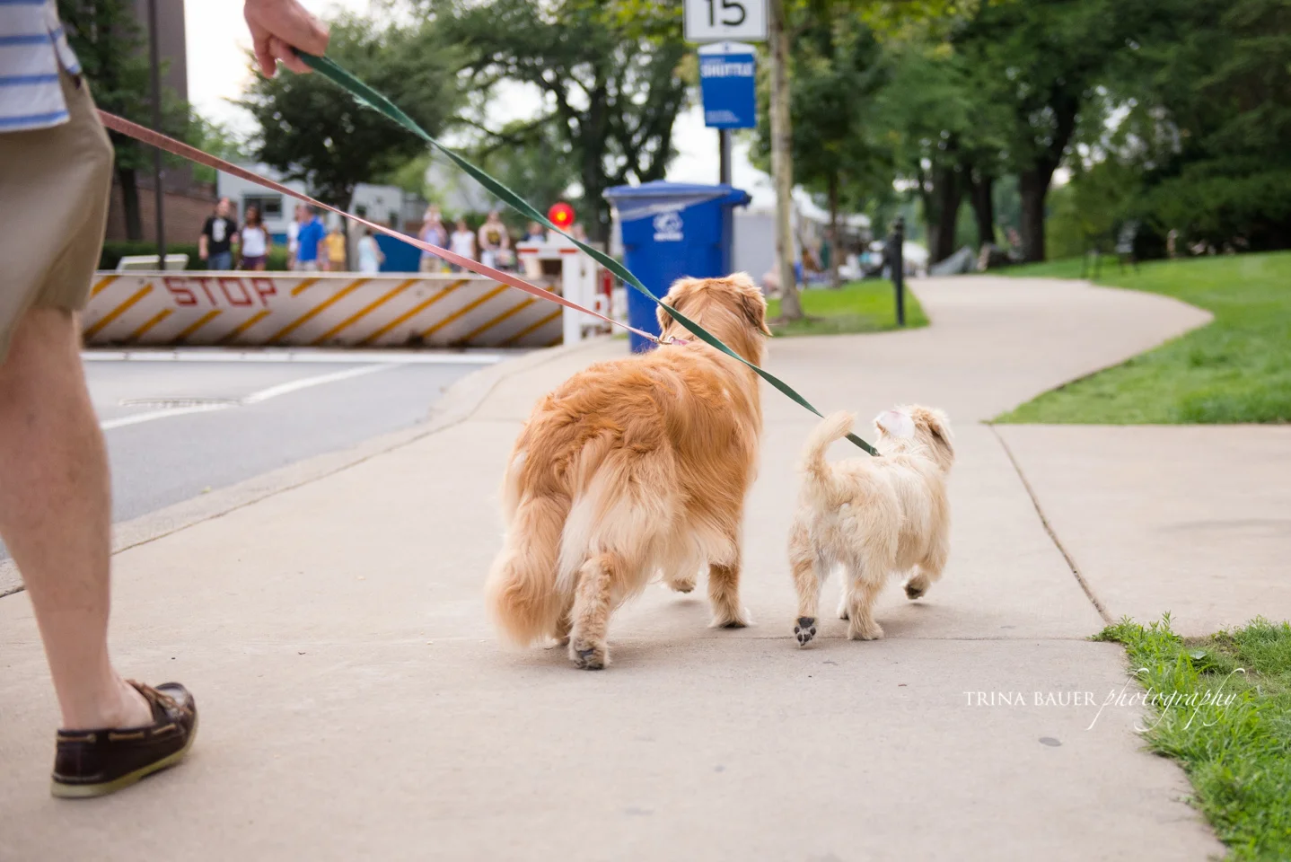 Project 52: Week 29 - Motion