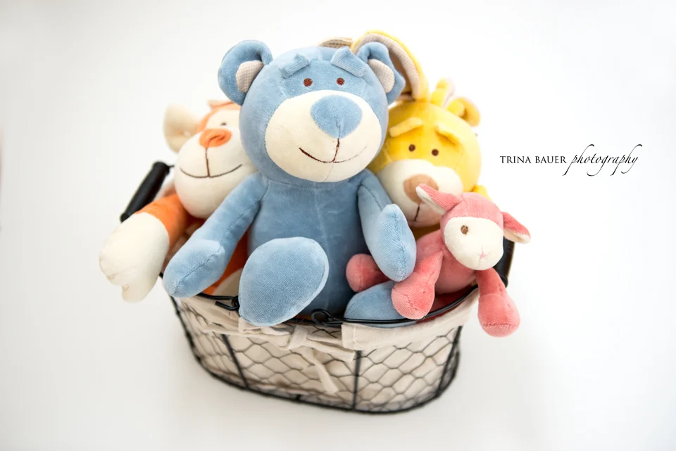 Product review - Simply Fido organic dog toys