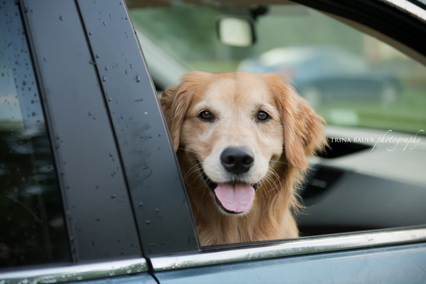 Project 52: Week 28 - Through the Window