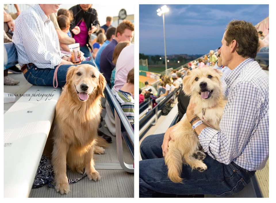 Bark in the Park | State College pet photographer