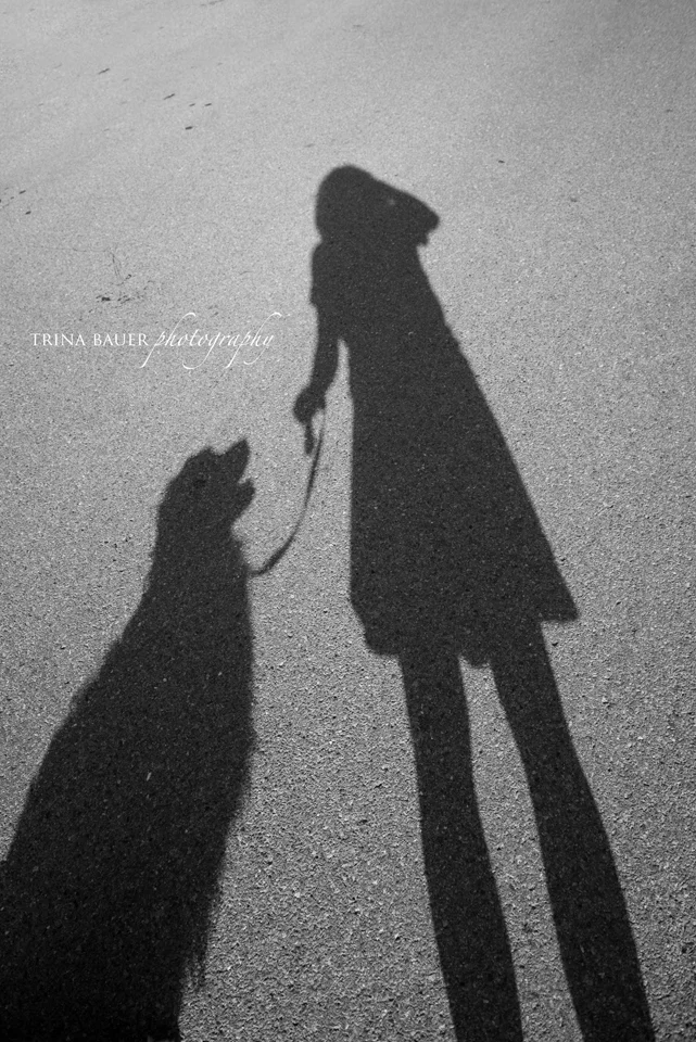 Project 52: Week 26 - Shadowed