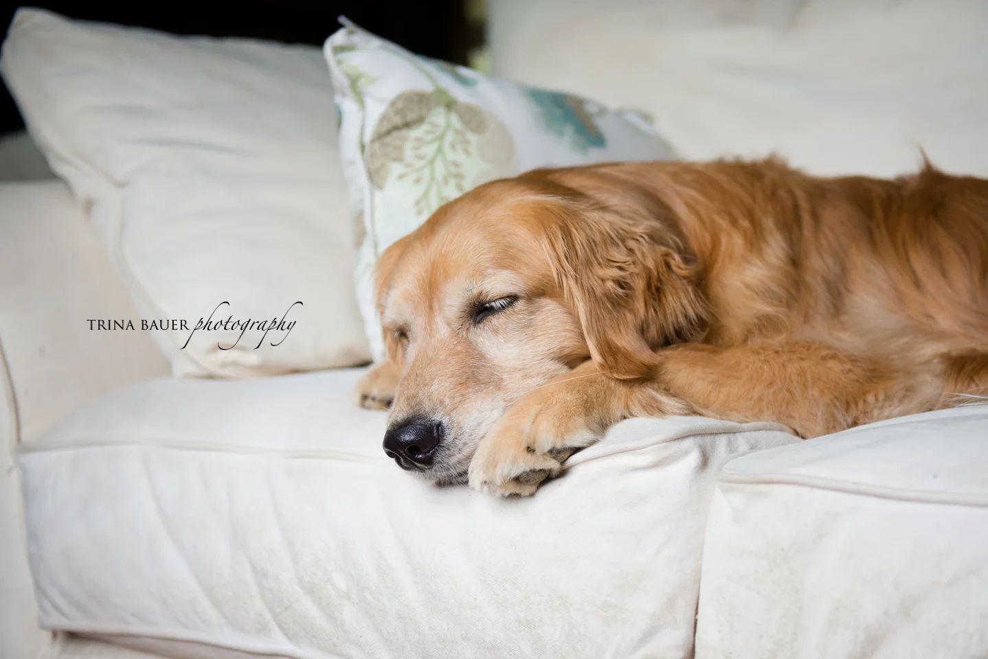 Project 52: Week 25 - Sleeping