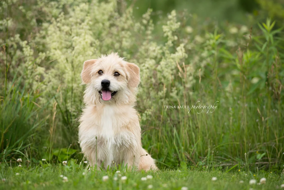 Project 52: Week 24 - Gardens