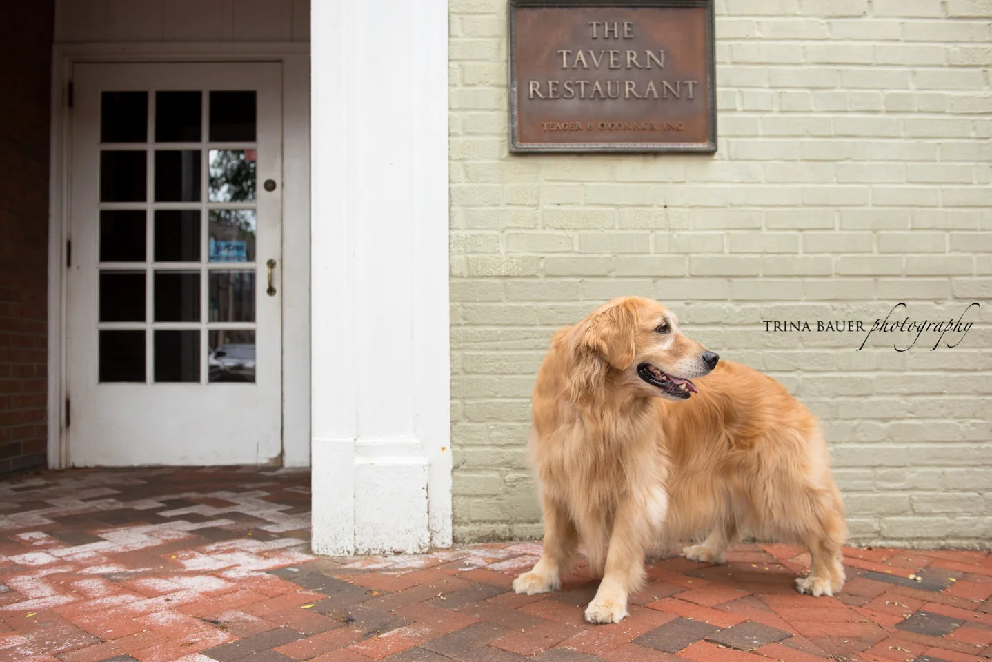 Project 52: Week 23 - Downtown