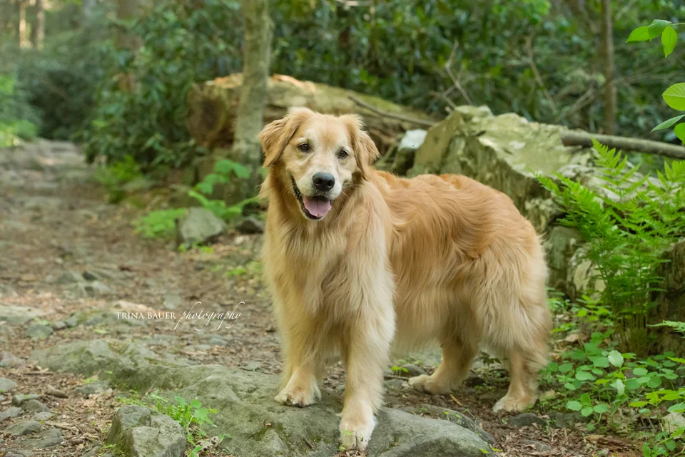 Project 52: Week 21 - Solitude