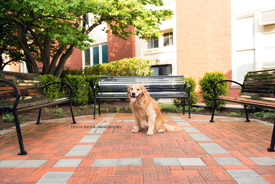 Project 52: Week 20 - Letters &amp; Numbers