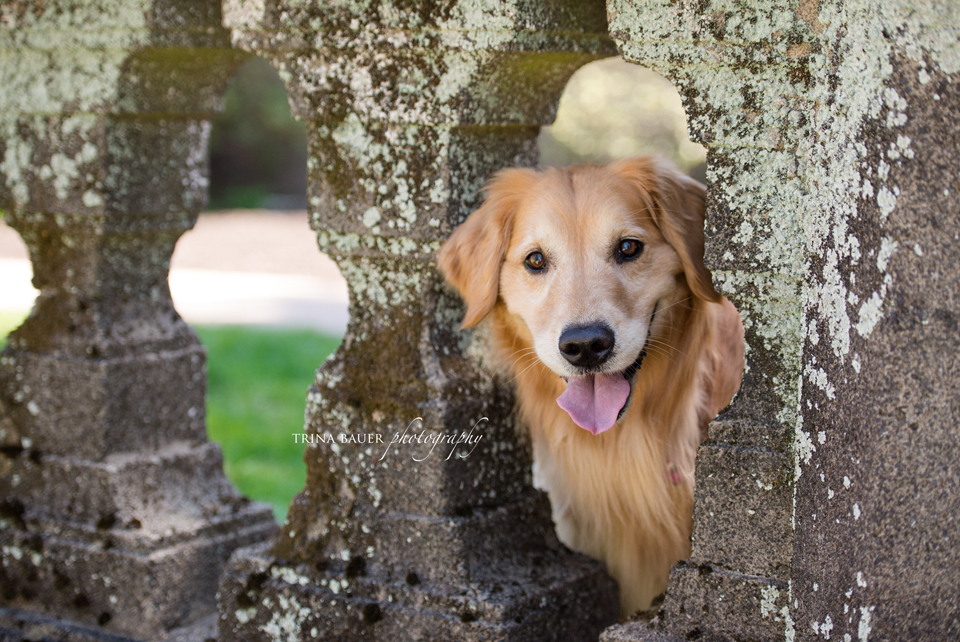 Project 52: Week 19 - Architeture