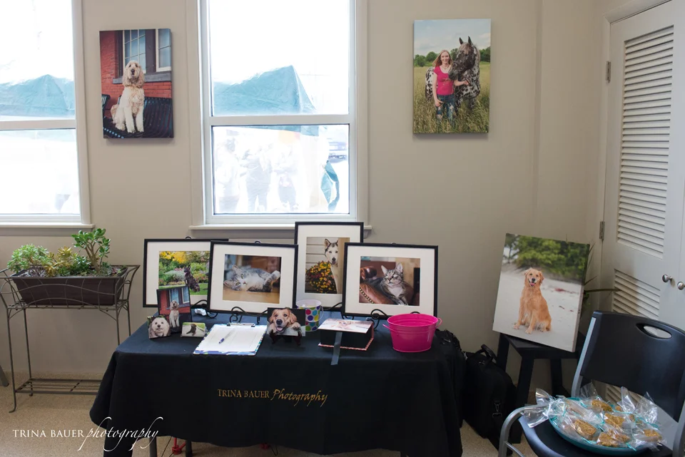 All Creatures Veterinarian Care Lobby Display