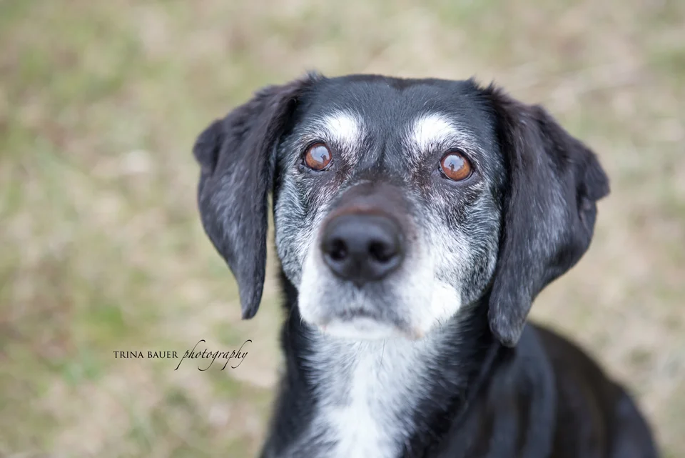 Project 52: Week 16 - Seniors Aging Gracefully