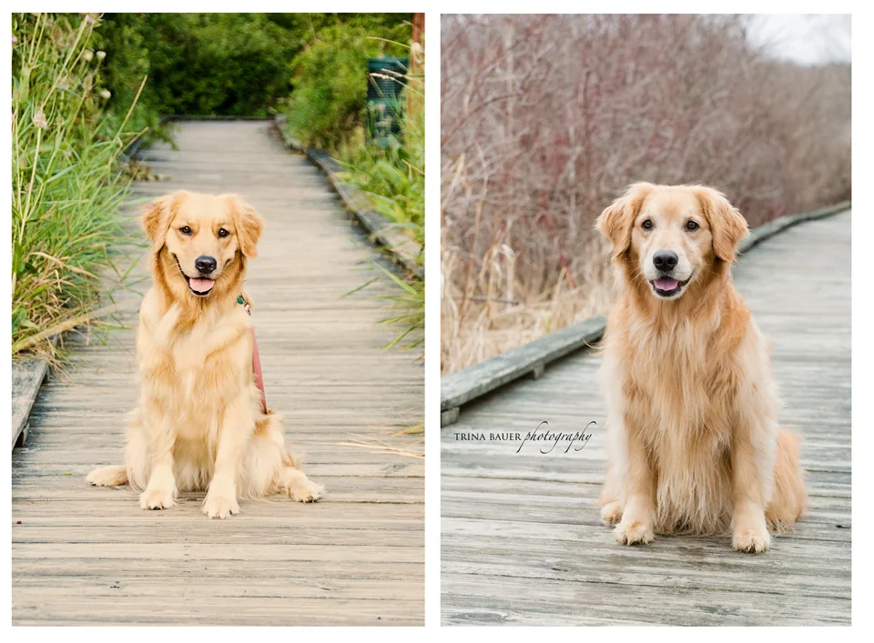 Project 52: Week 15 - Then &amp; Now