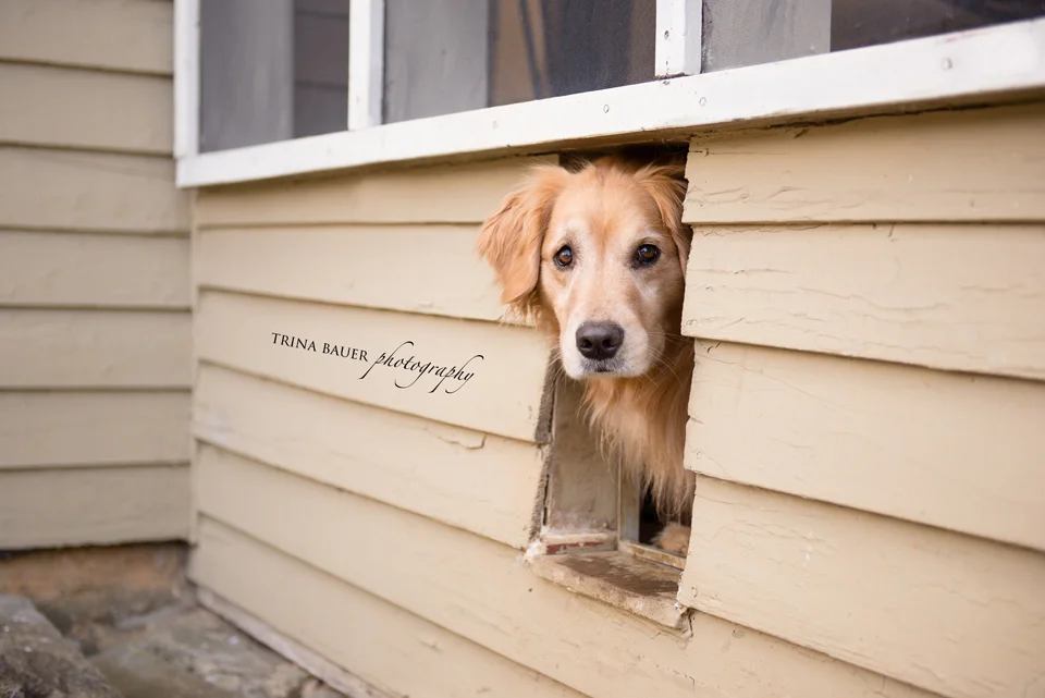 Project 52: Week 14 - Under