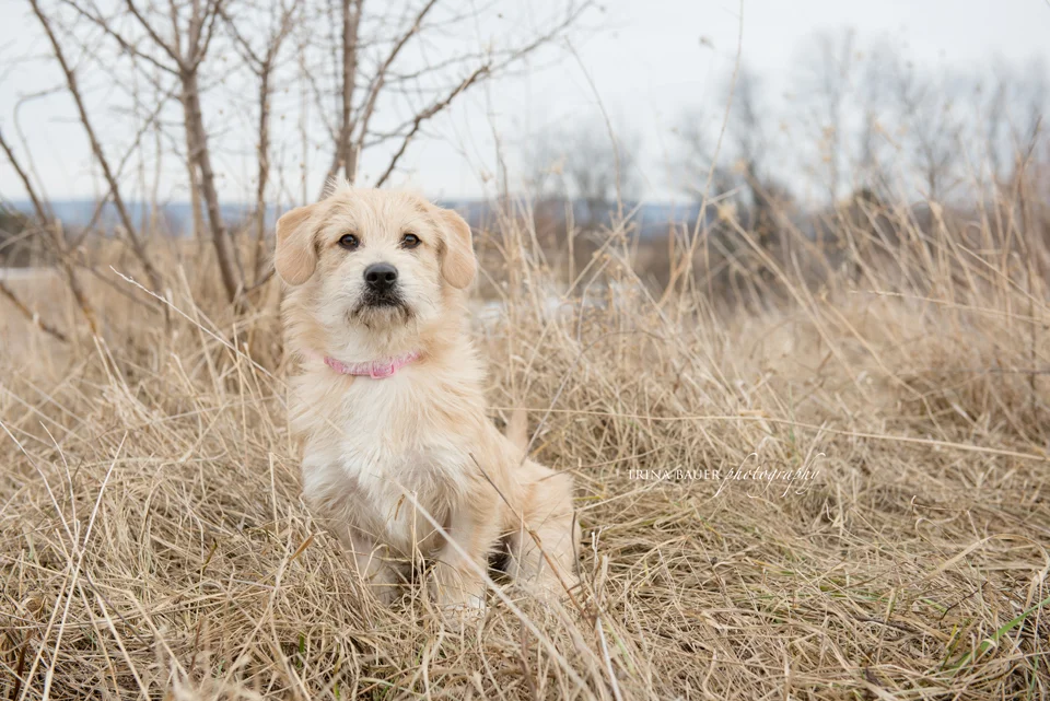 Project 52: Week 12 - Something New