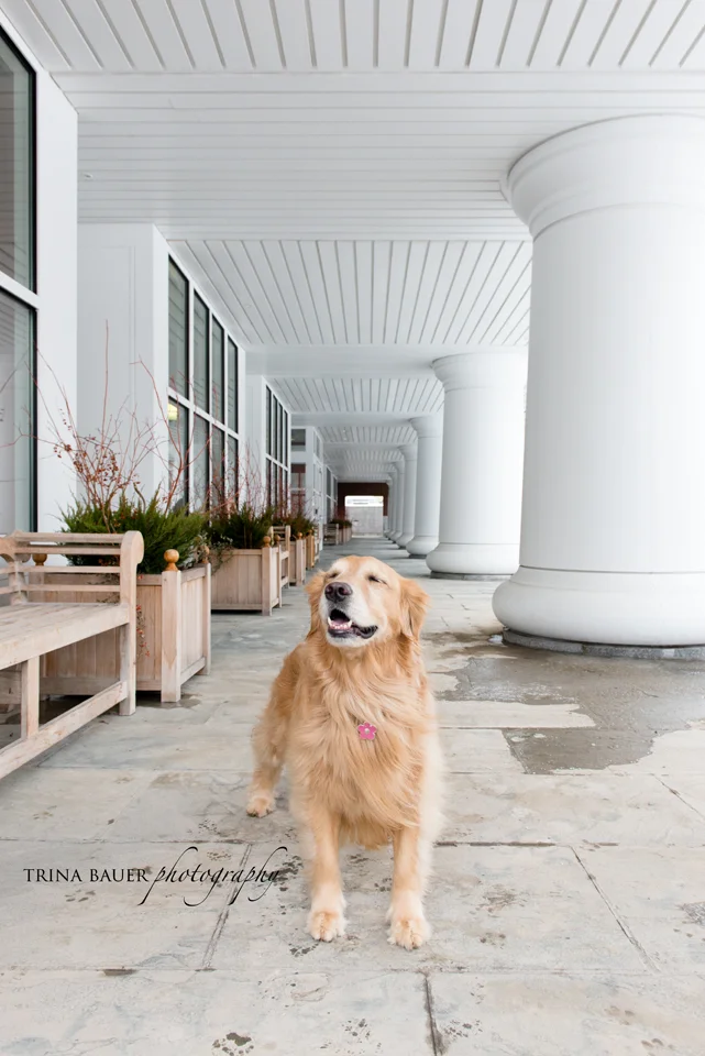 Project 52: Week 10 - Symmetry