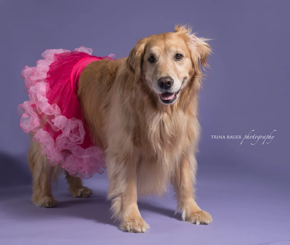 Project 52: Week 11 - Something silly!