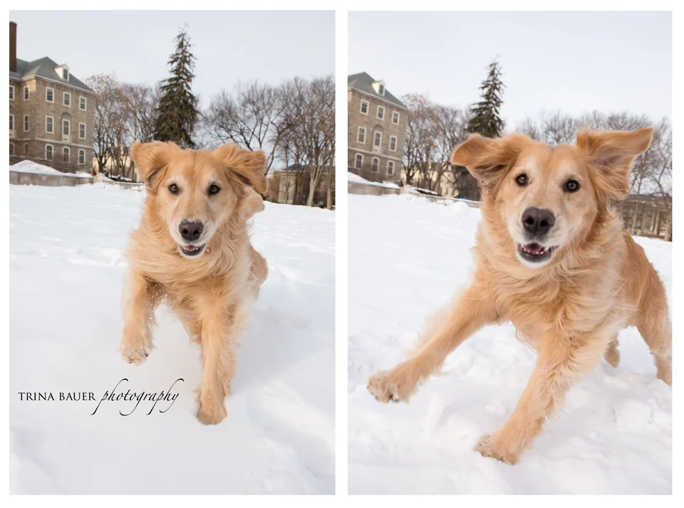 Project 52: Week 9 - Shooting From the Hip