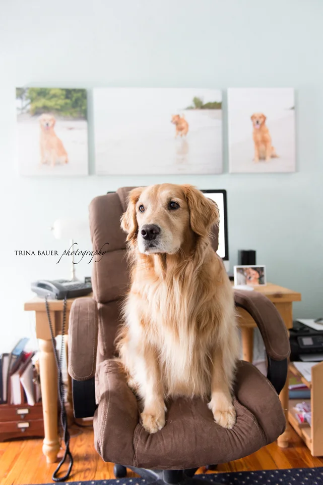 Project 52: Week 7 - Pictures