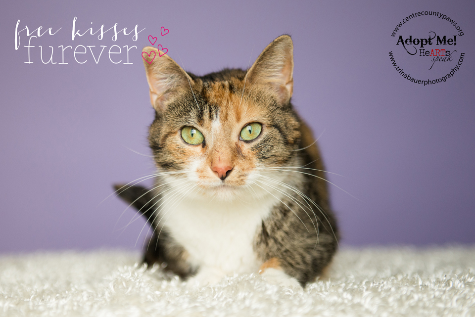 Will you be my Valentine? 