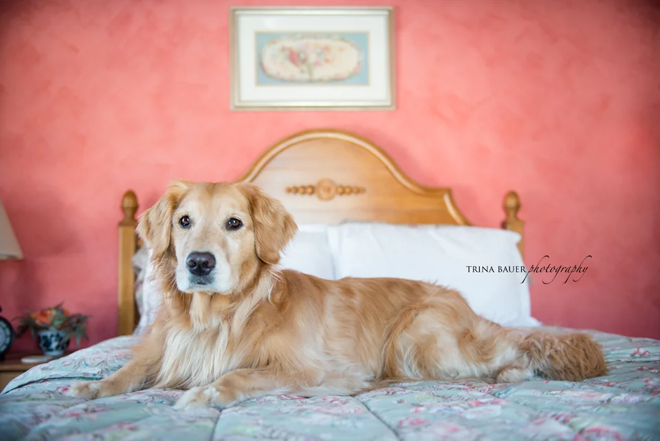 Project 52: Week 6 - Wide Open