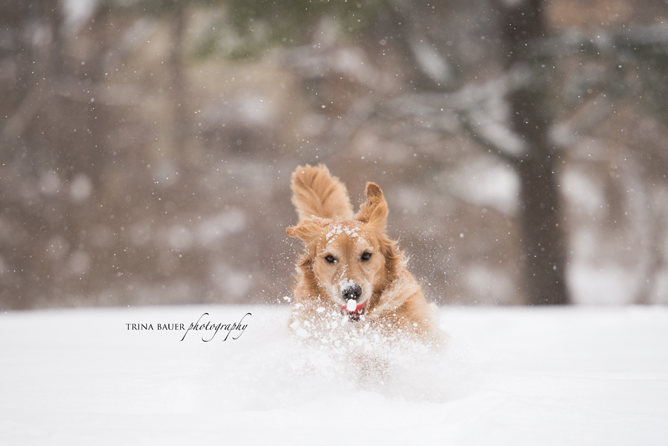 Project 52: Week 5 - Fitness