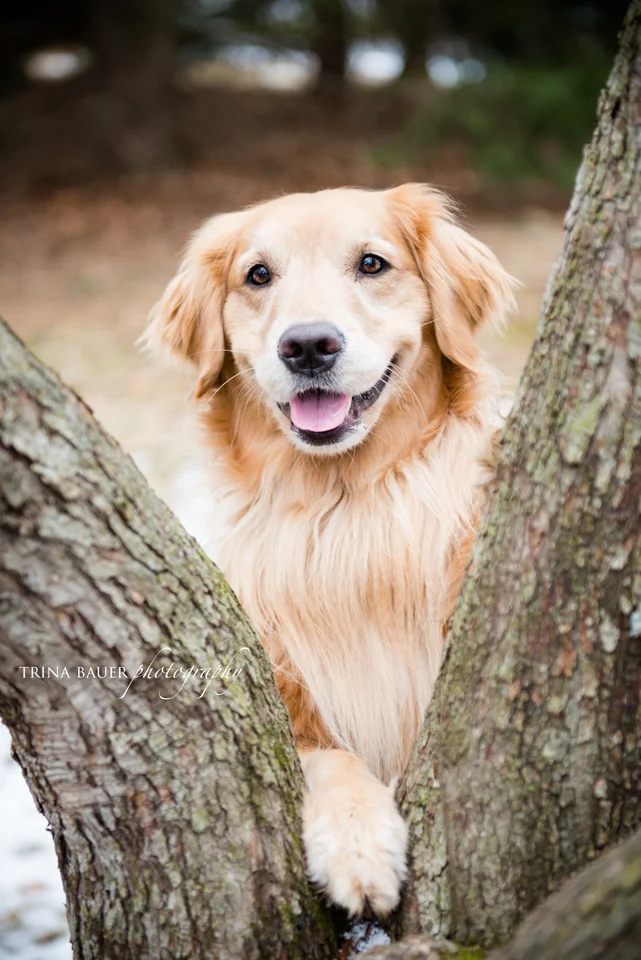 Project 52: Week 4 - Framing