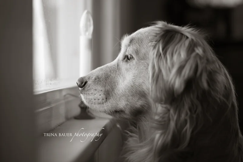 Project 52: Week 3 - A Day in the Life