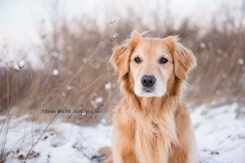 Project 52: Week 2 - January