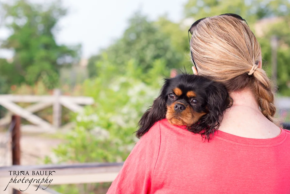 Mentoring with Cowbelly photography | State College pet photographer