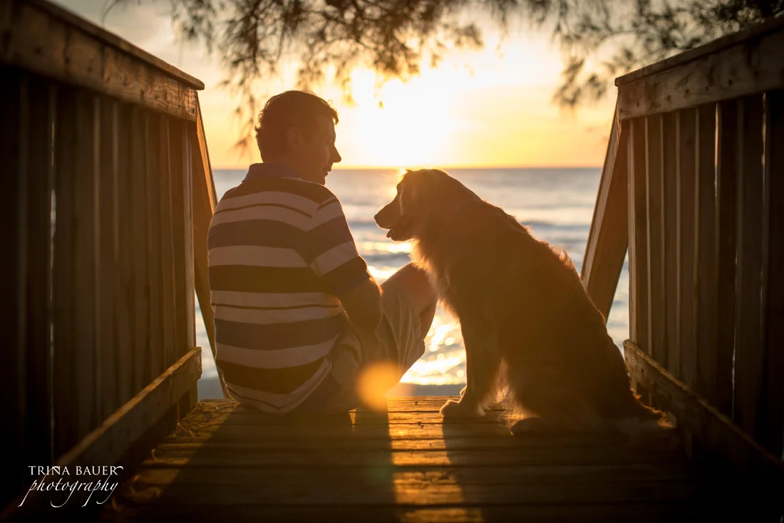 A New Year | A New Camera