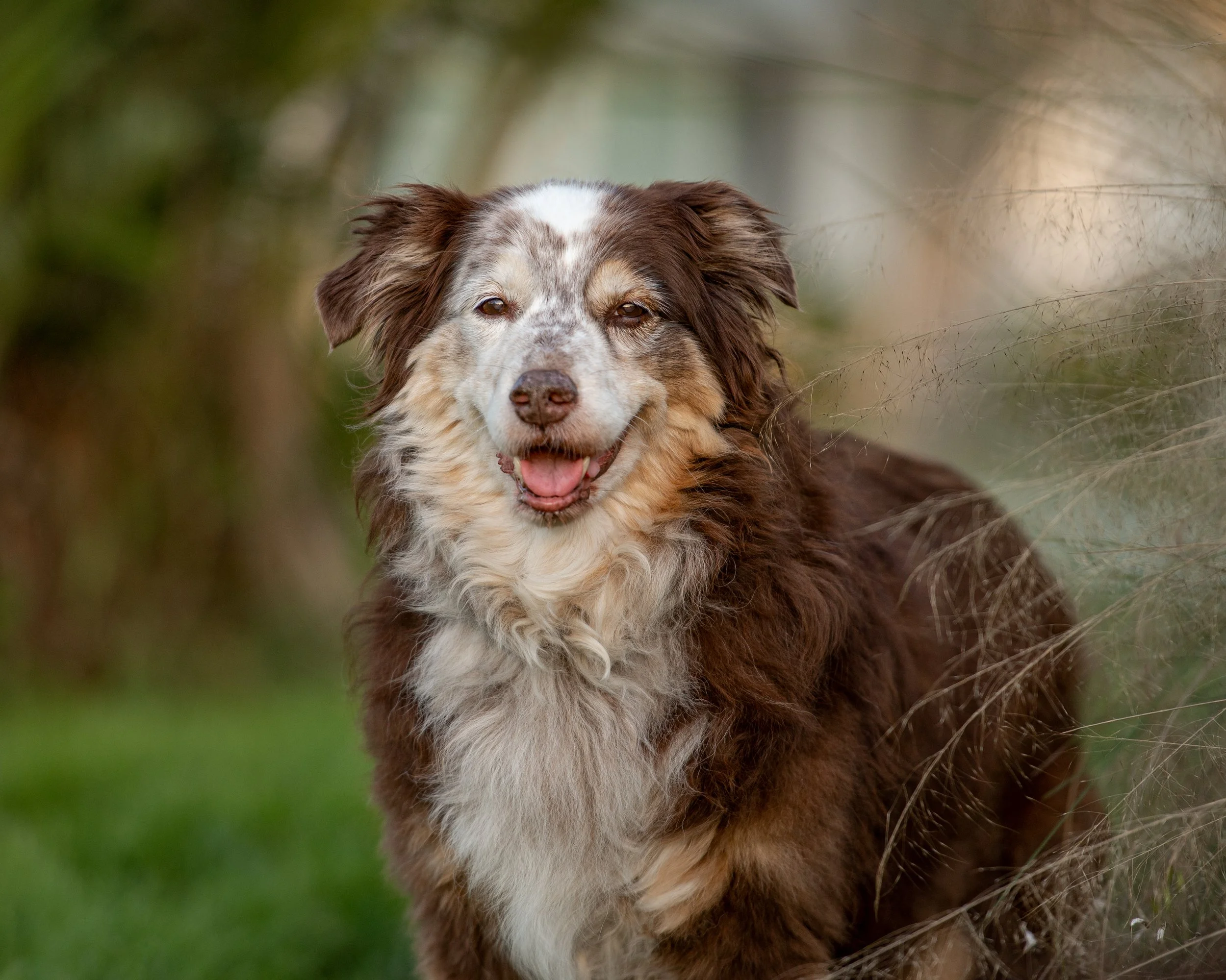 5 Reasons why you should hire a professional photographer