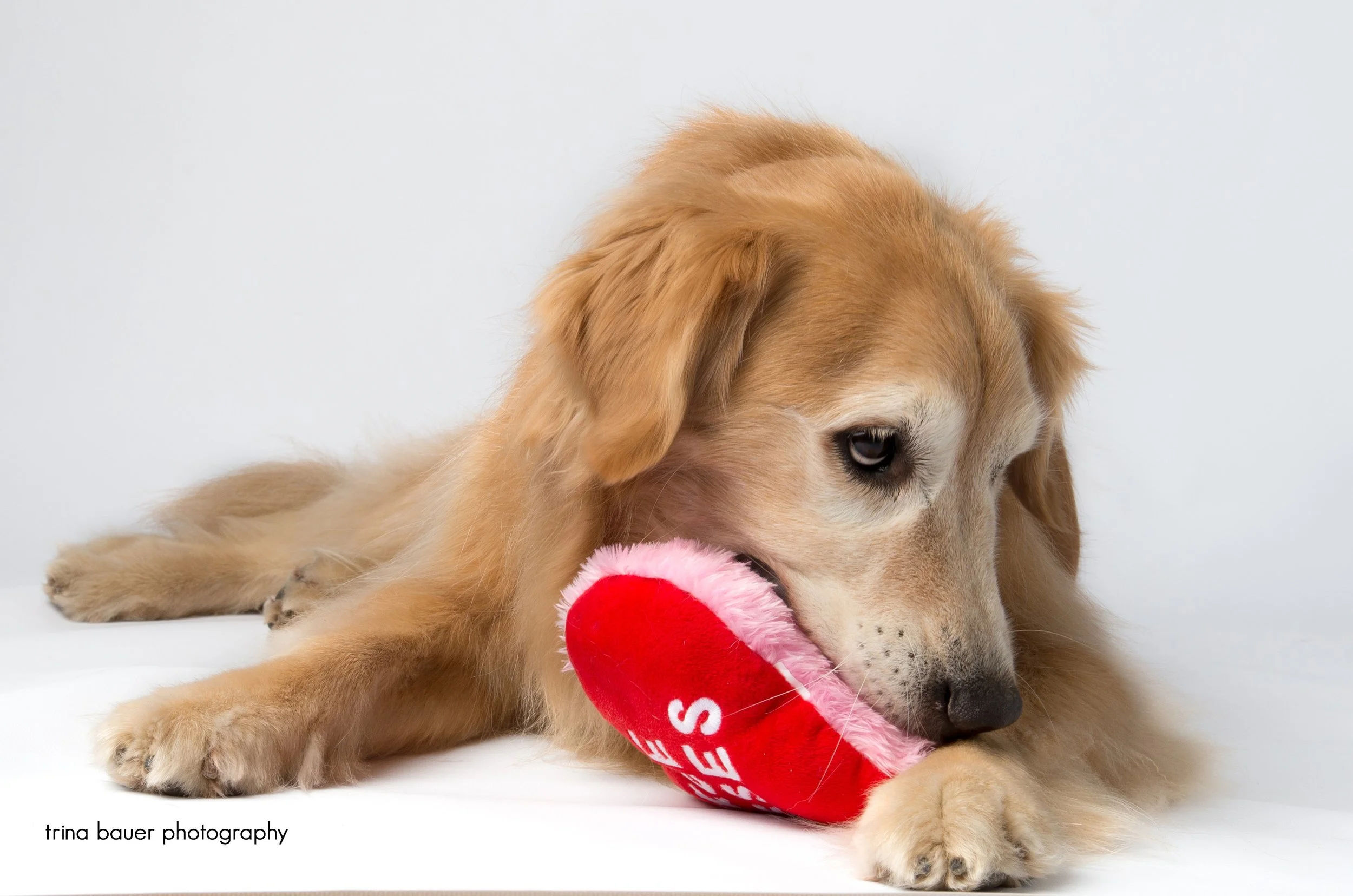 Happy Valentine's Day