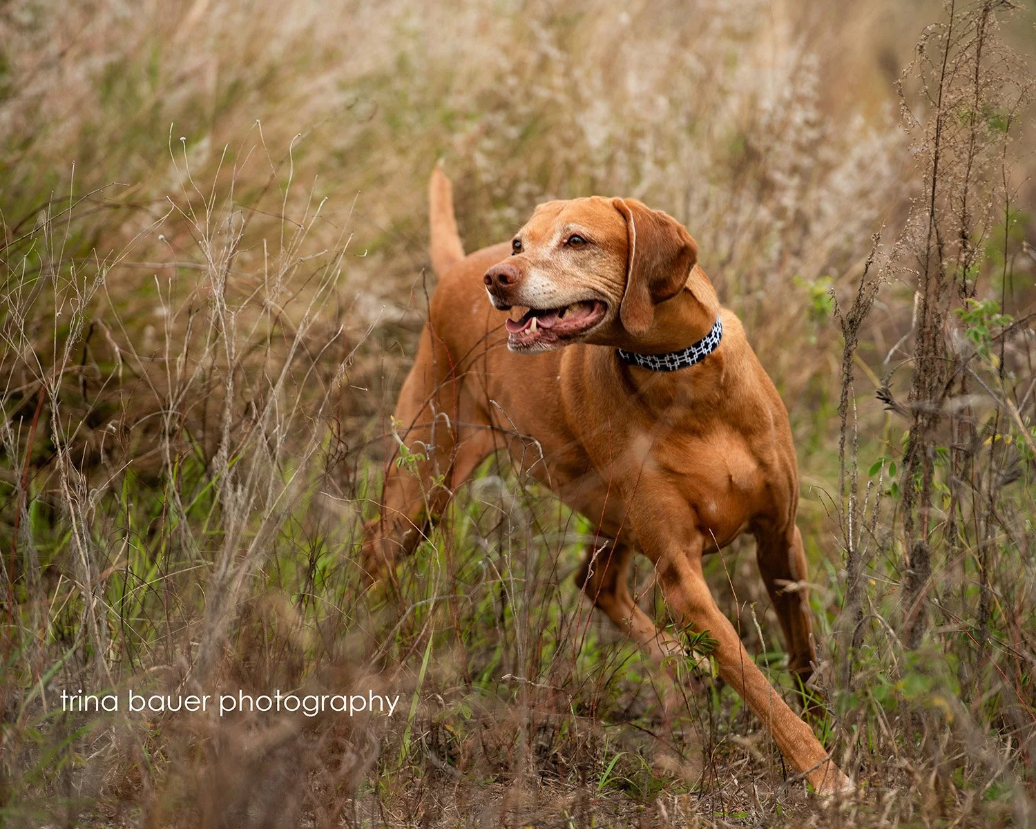 Ready, set and....action!
