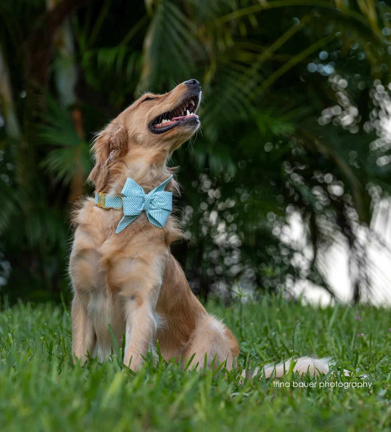 Zoey turns 2!