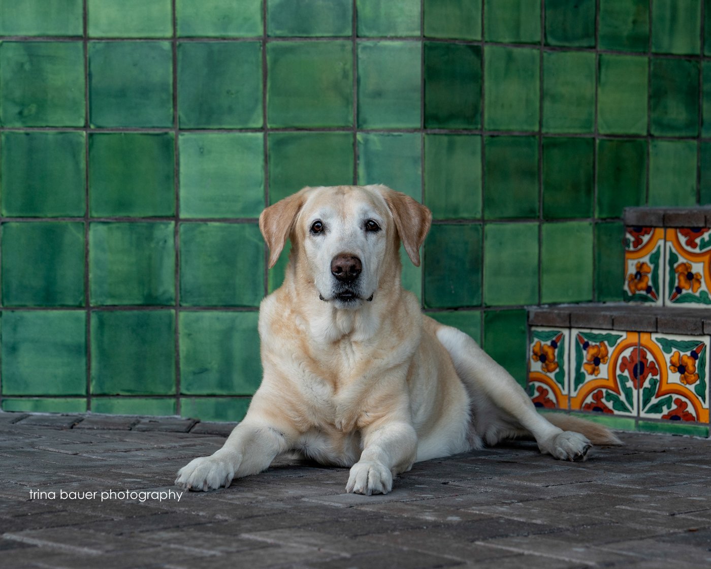 Capturing joy for a worthwhile project