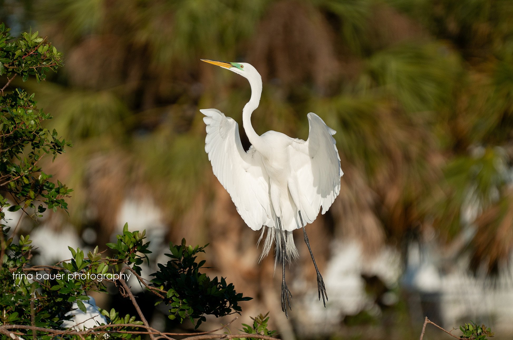 From familiarity to fascination