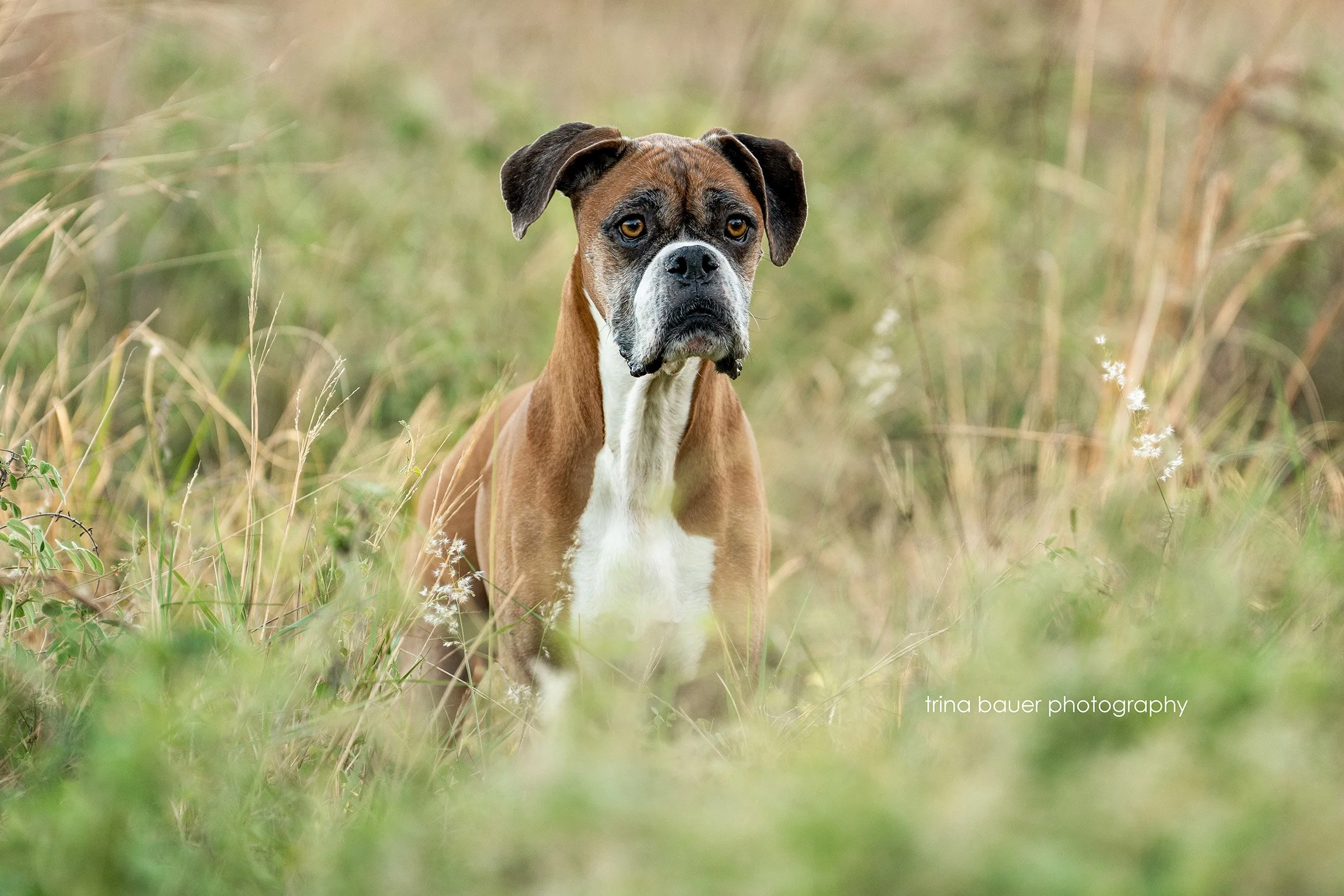 Why professional photography is worth the investment