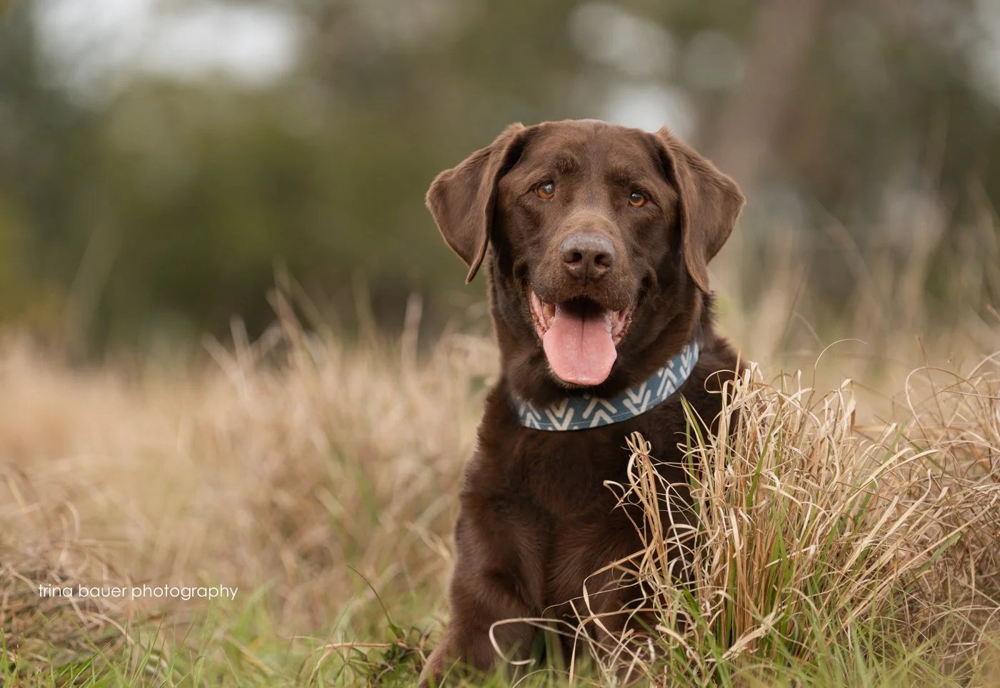 Where He Belongs: MacDougal’s Forever Story