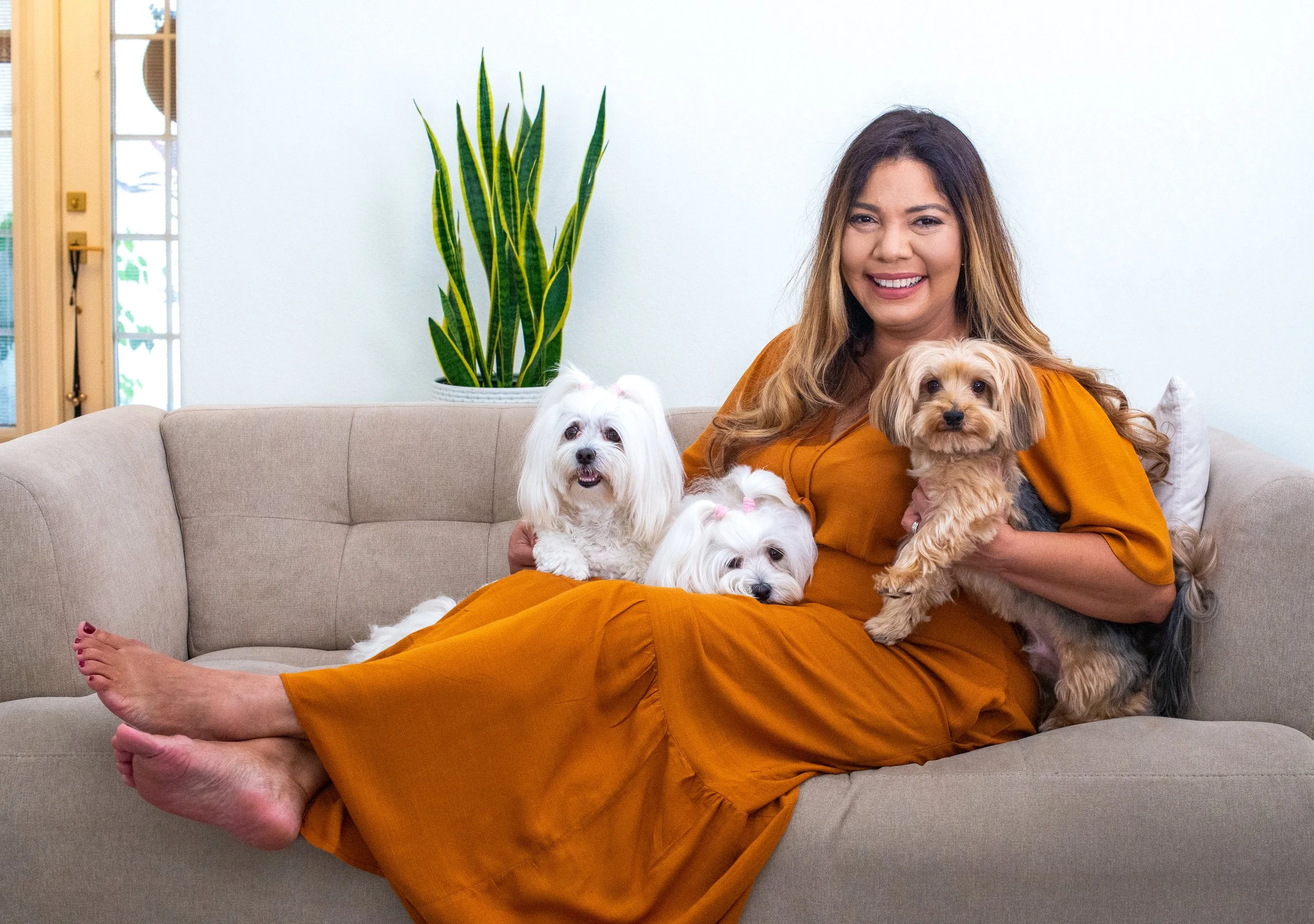 woman with 3 yorkie poos and havenese dog on couch in home