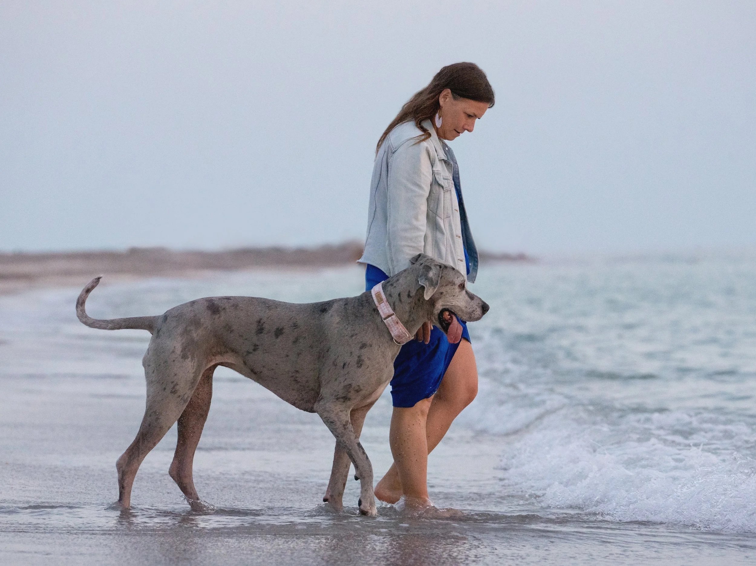 woman and Great Dane walking into the ocean together