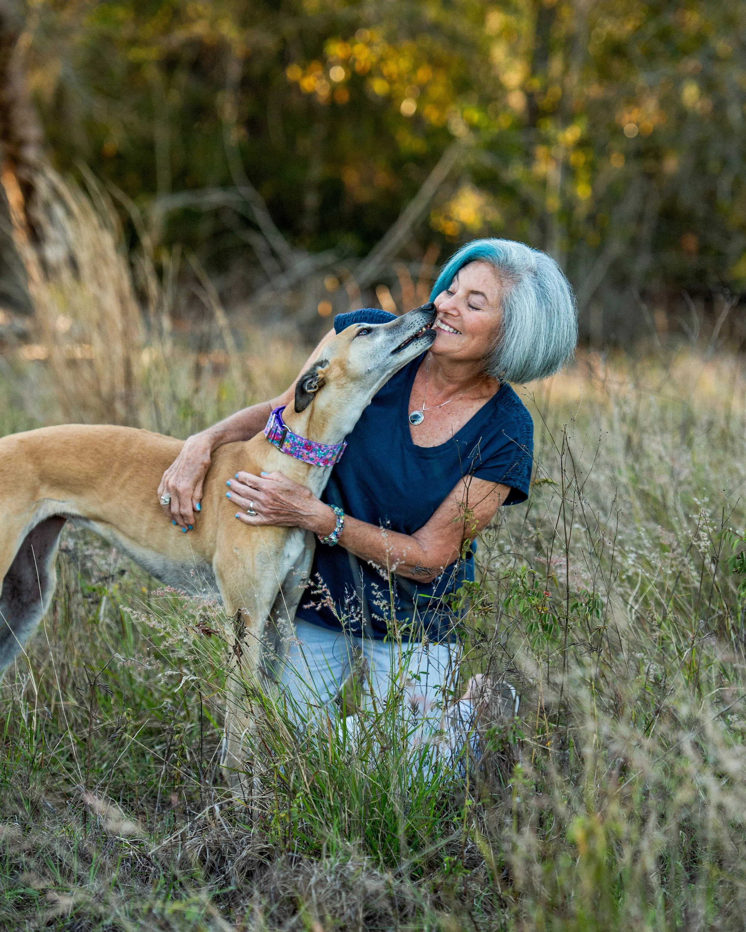 greyhound nuzzling with older woman with blue hair in florida field