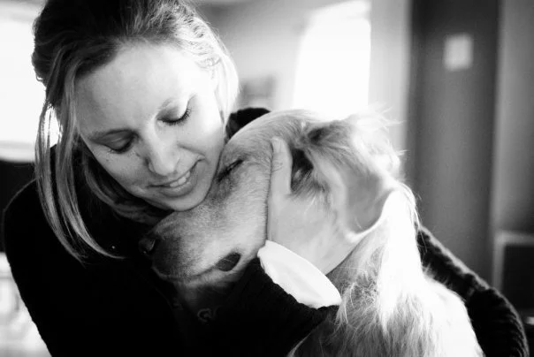 golden retriever snuggling with owner