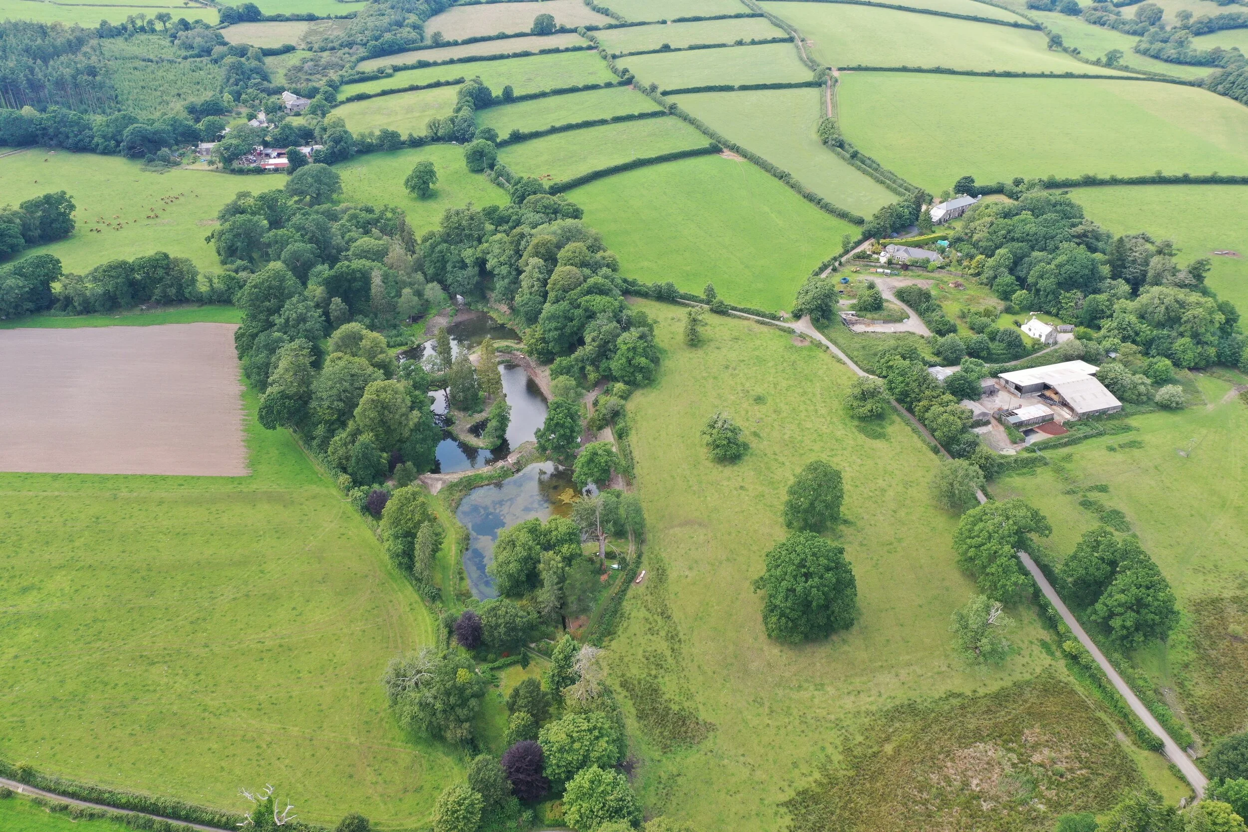 The fish ponds July 2020