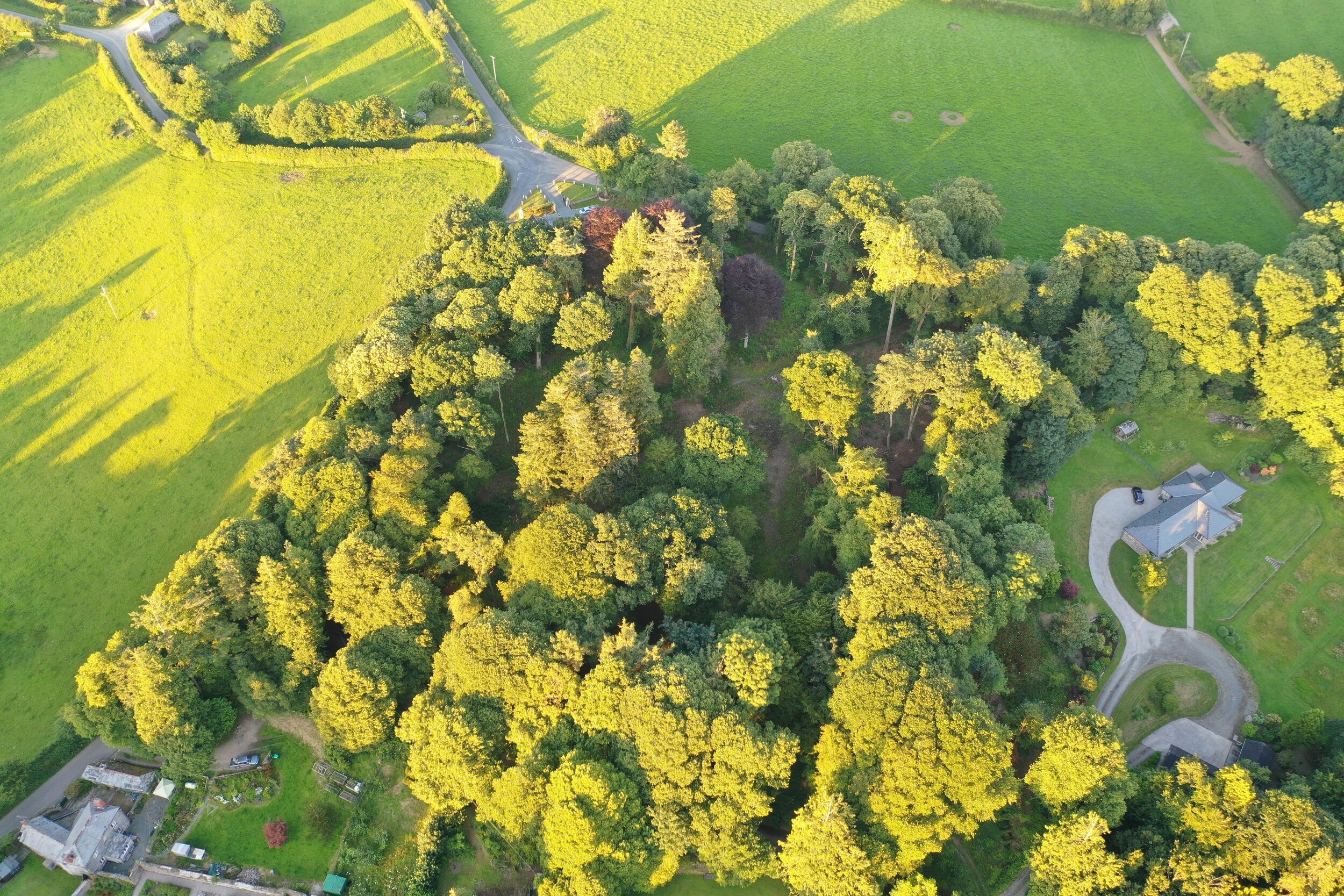 Barn Park plantation July 2020