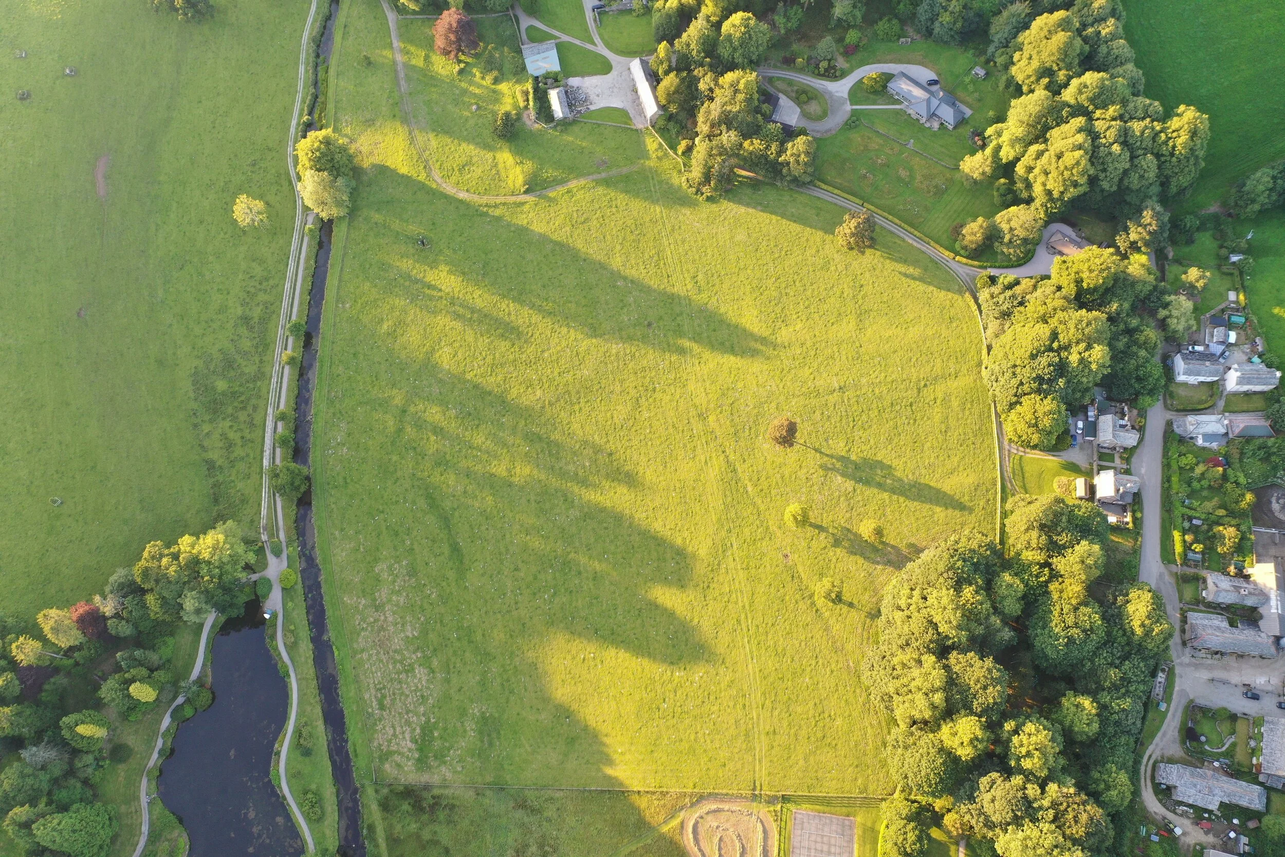 Lawn field July 2020