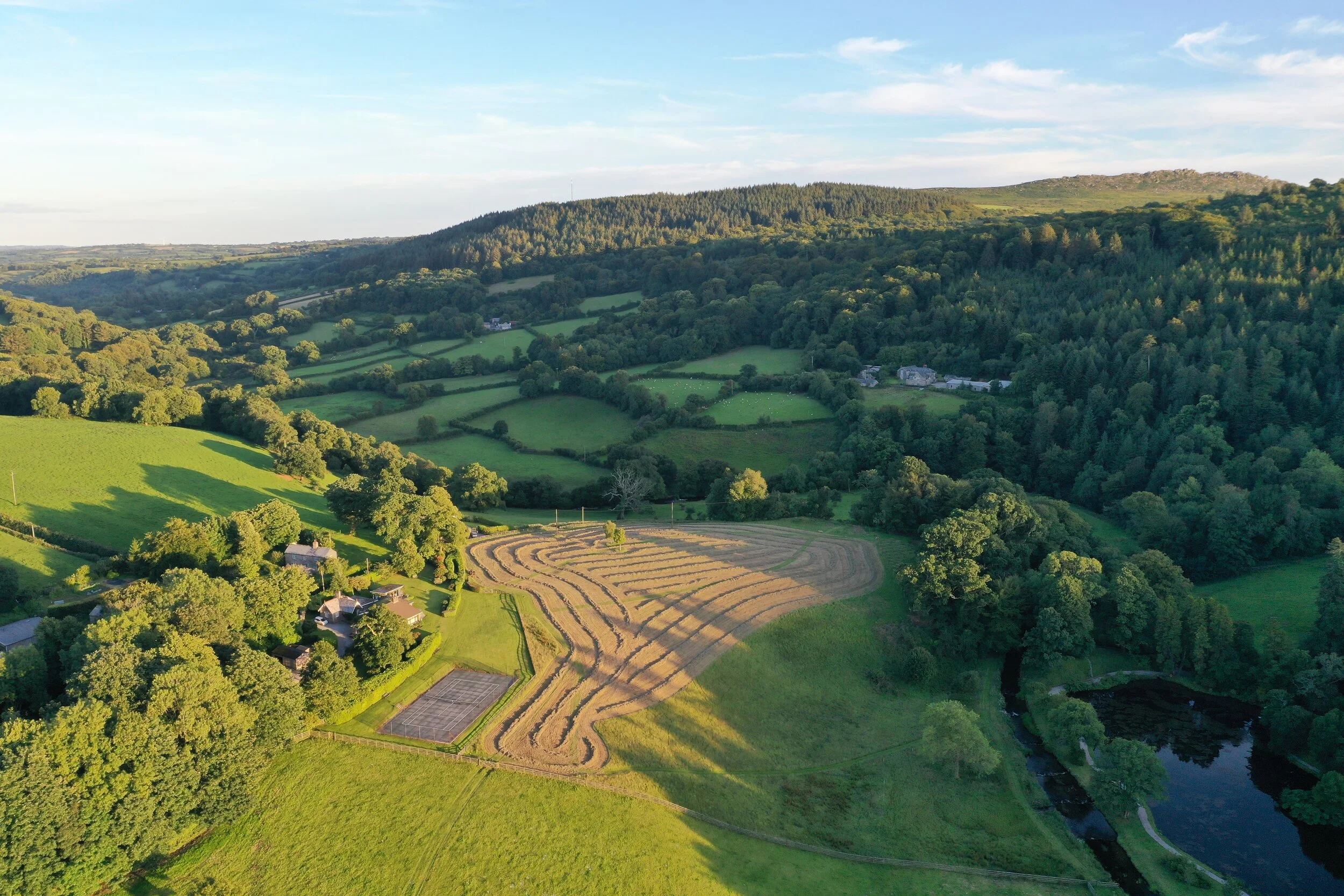 J and M field - distance DJI_0114.jpg