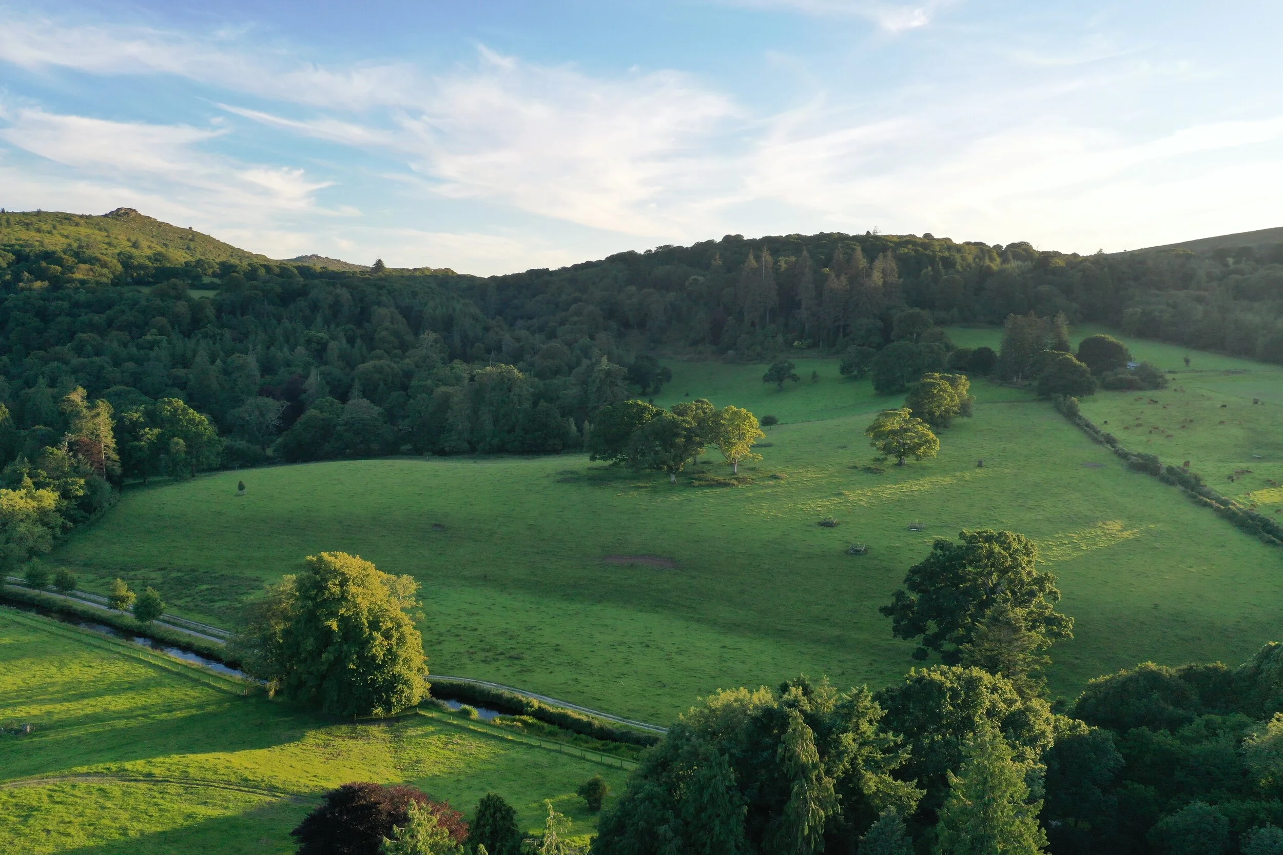 Lower tinners field July 2020