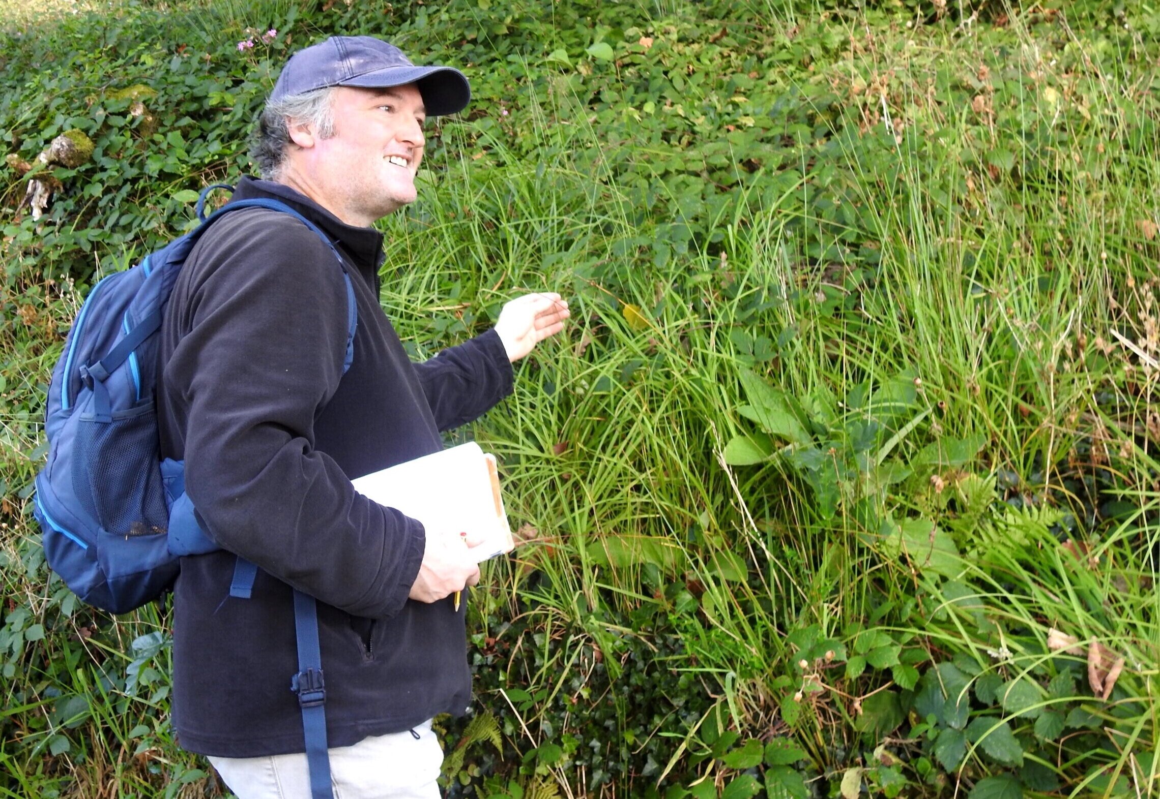 Ian Benallick pointing out a patch of Pale Sedge (Carex pallescens) on the bank above the middle fish pond.Pale sedge, bluebells and wood anemones are all indicators of ancient woodlands.