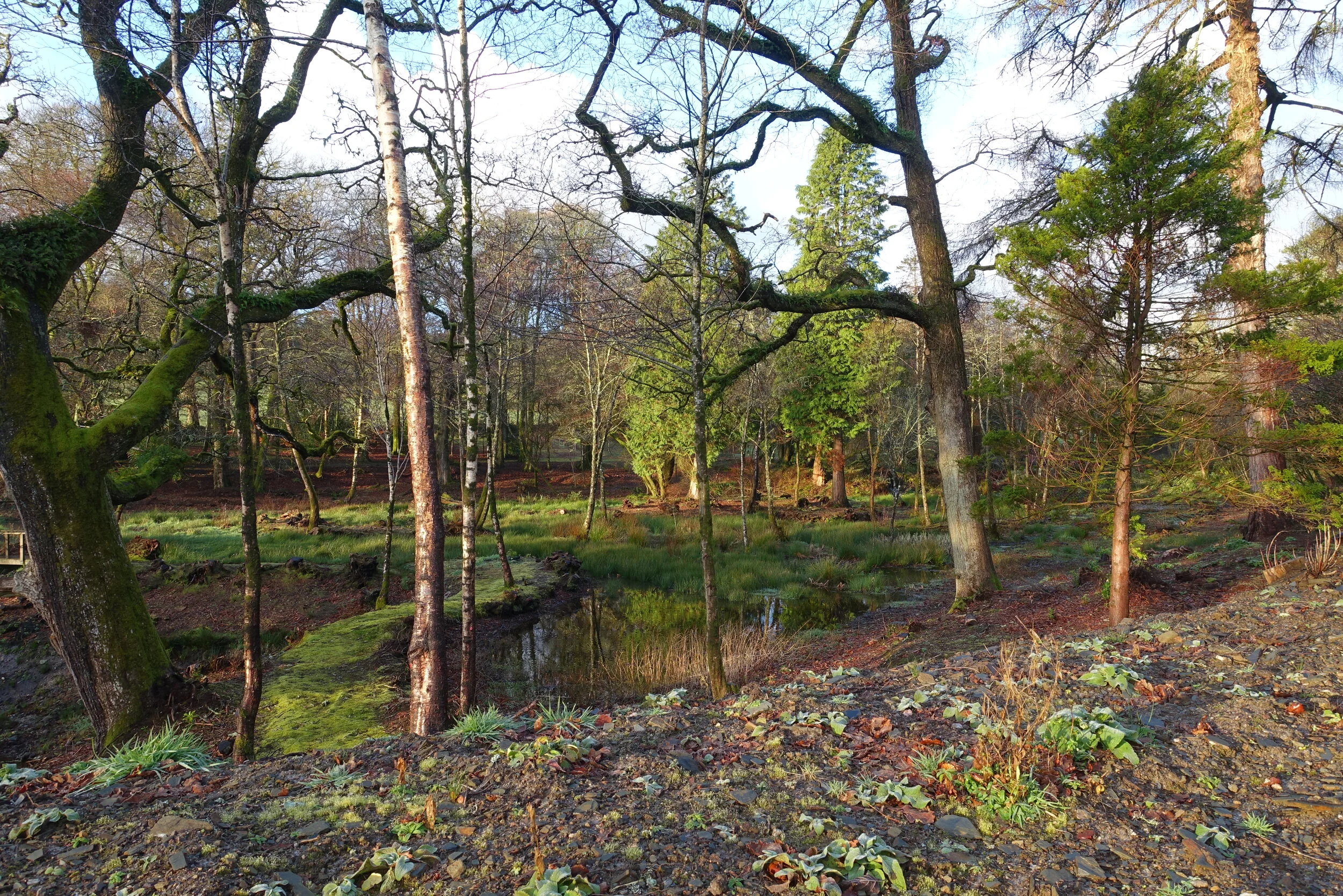 Upper dam and upper pond 18 January 2015