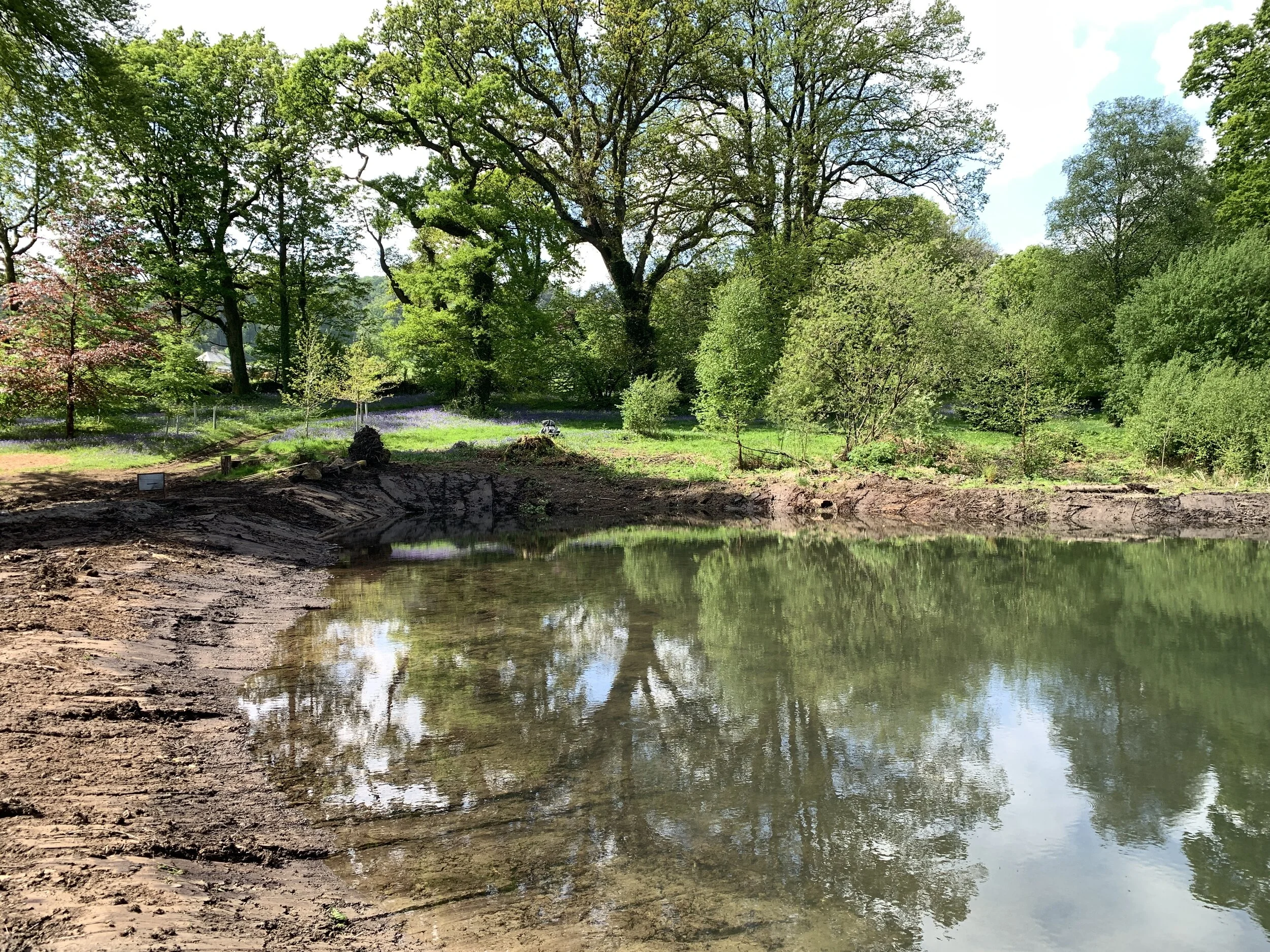 Upper pond 7 May 2020 50.JPG