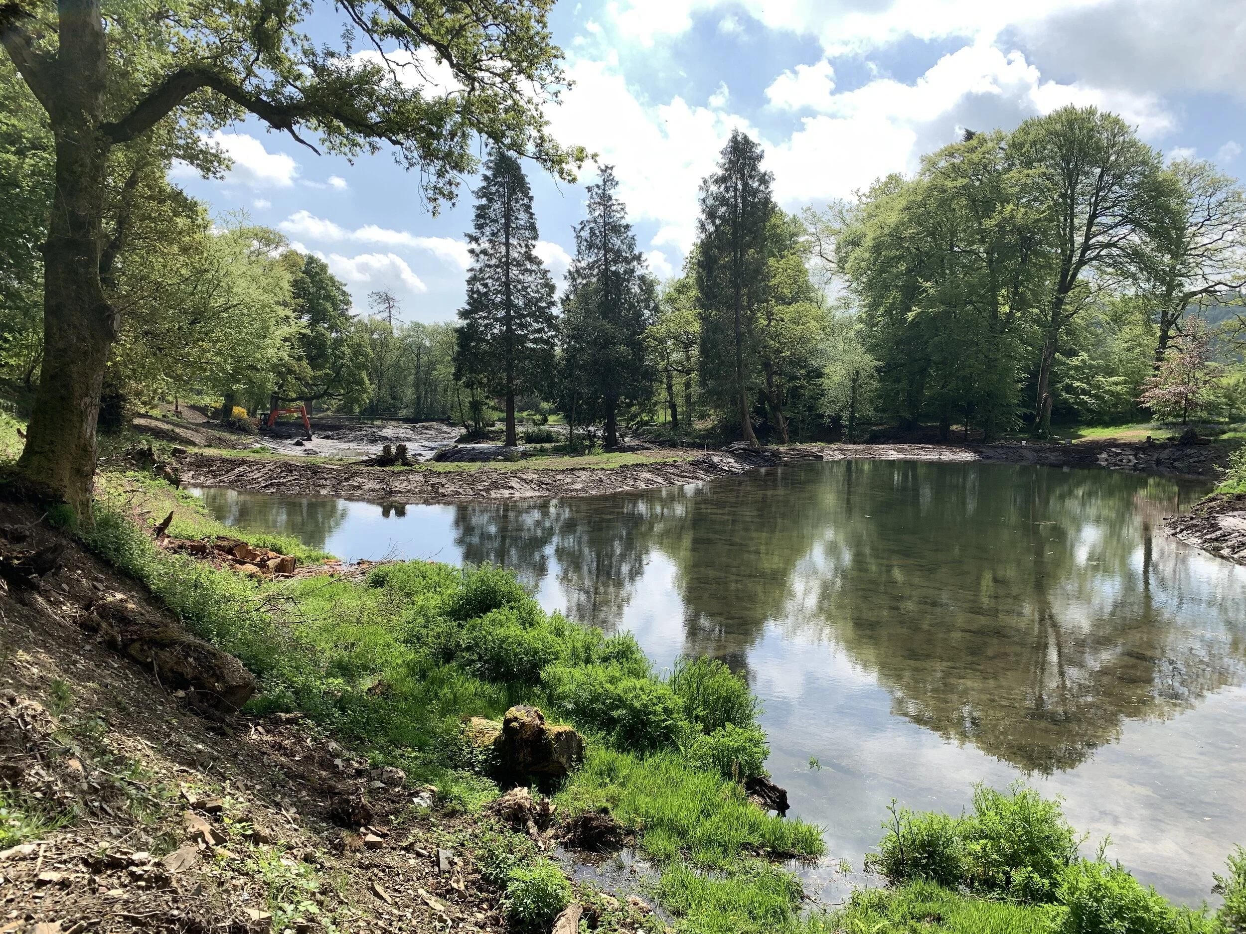 Upper pond and upper dam 7 May 2020 65.JPG